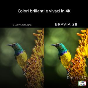 d44c53444843bef0108ef52d15899055bdf6693d