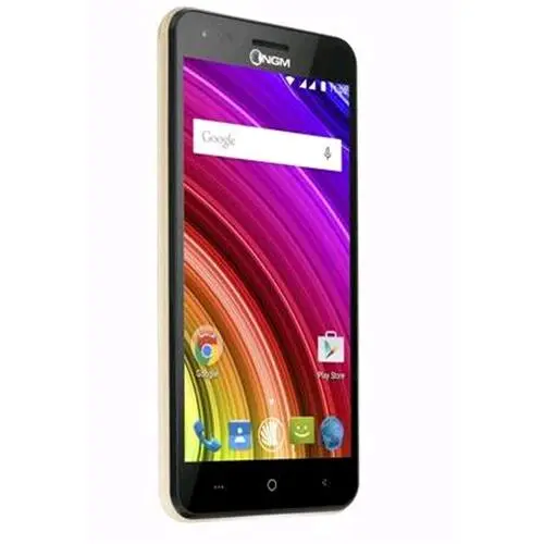 Cellulare E505 plus Gold
