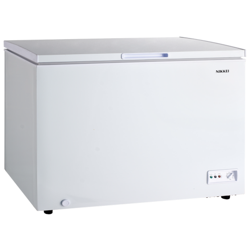 Congelatore a pozzo INCO 300X - I9F302A11