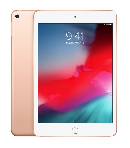 iPad mini 5 256Gb Oro MUU62TY