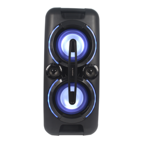 Cassa TS 80 R