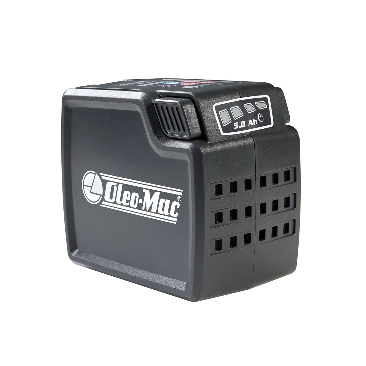 Batteria 40V BI 5AH