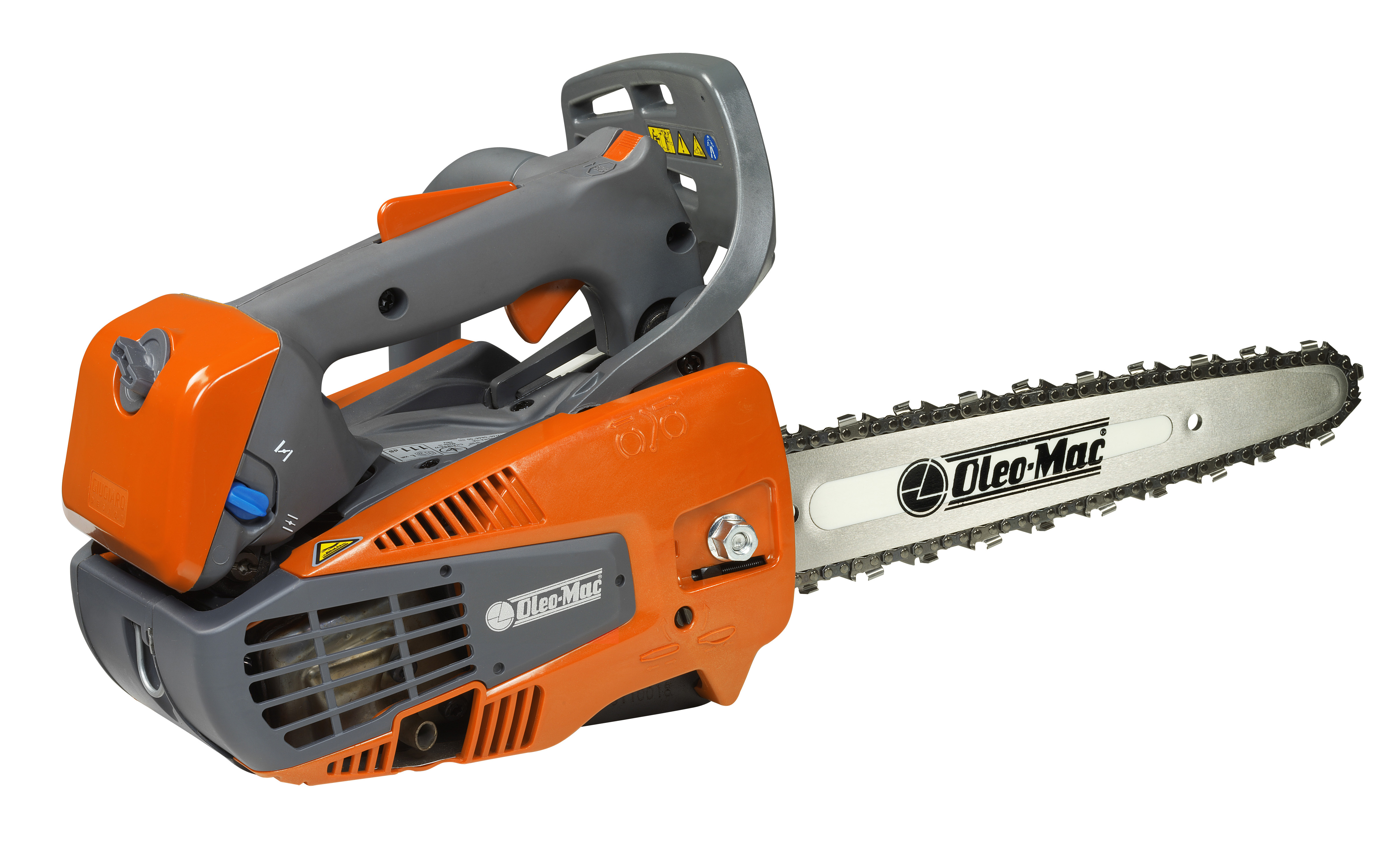 Motosega a scoppio GST 250 CARVING