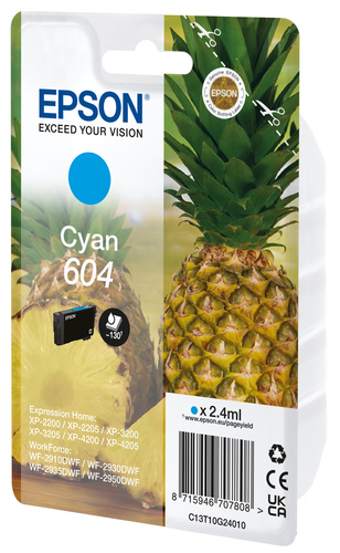 Cartuccia C13T10G24020 Ananas Ciano