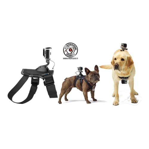 Accessorio DK00150116 FETCH